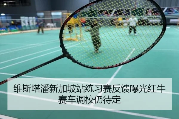 维斯塔潘新加坡站练习赛反馈曝光红牛赛车调校仍待定